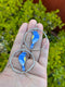 Bird earrings blue bird ,for gift,jewelry for bird lovers